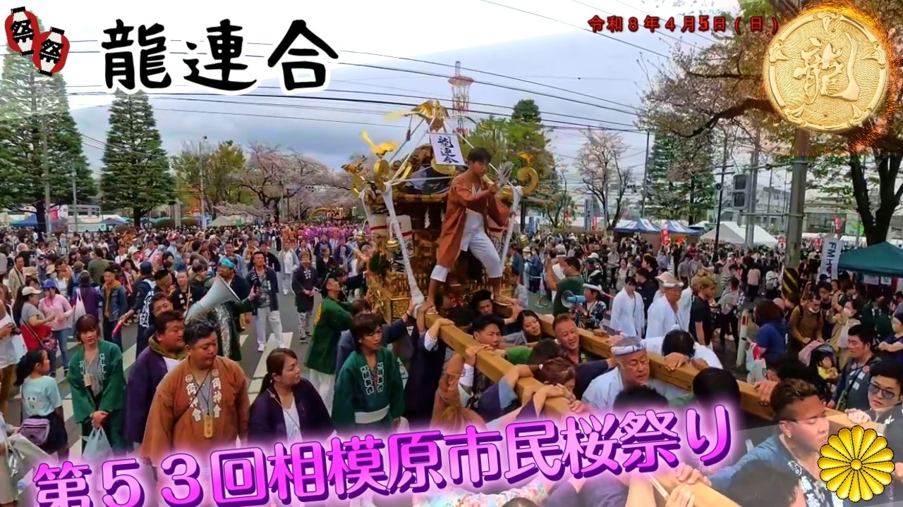 令和８年　相模原市民桜まつり 神輿パレード ★龍連合★担ぎの流儀がぶつかる｜江戸前とドッコイ、相模原で交差する力★ド迫力 ＃祭り#甚句＃日本祭典 ＃ドッコイ担ぎ　video 11。
