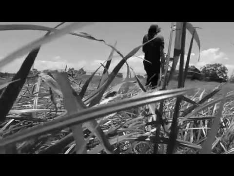 Brandon Keir full part