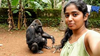Download lagu Daily Life with Mittu - A vlog with Mittu mp3