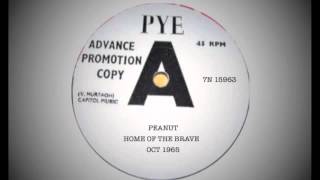 Peanut - Home Of The Brave