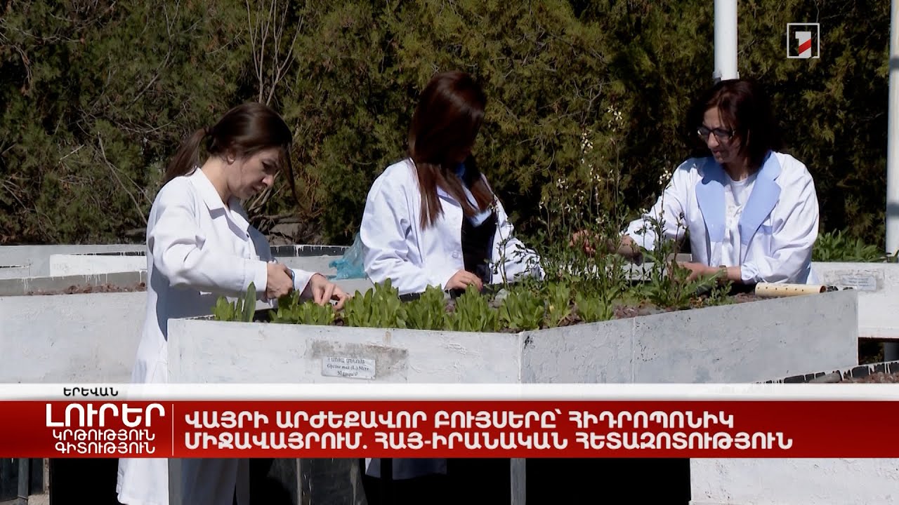 Վայրի արժեքավոր բույսերը՝ հիդրոպոնիկ միջավայրում. հայ-իրանական հետազոտություն