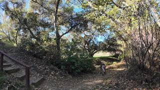 Episode 34: Walking With God