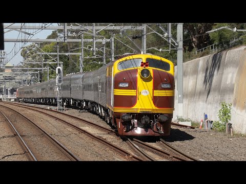Australian streamliner locomotives 4204 & 42103 - Southern Aurora - Thornleigh - November 2020