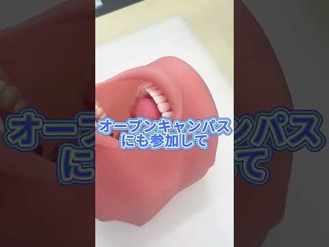 【神奈川歯科大学短期大学部の魅力を教えて】 #歯科衛生士#インタビュー #短期大学