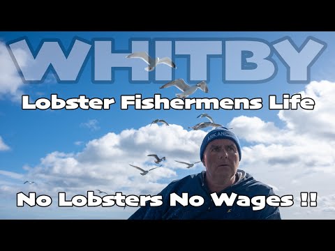 WHITBY LOBSTERS - Will The Wages Be Paid ?? - Arkane Adventure Part 2