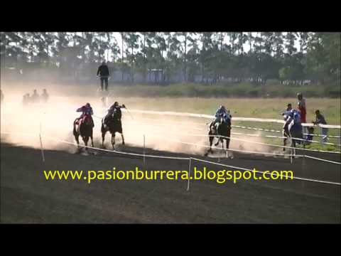 3° Clasificatoria Polla RDA - LM: Miss Great Expectations, Curuzu Cuatia (29-06-14)