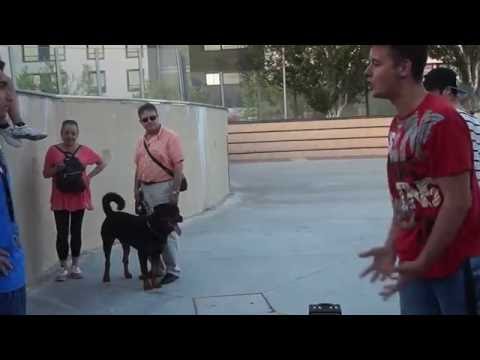 OCTAVOS - Samu VS Meléndez