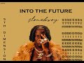 STONEBWOY- INTO THE FUTURE (OFFICIAL LYRICS VIDEO)