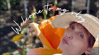 2024 Roses are prized around the world & symbolize love, royalty, beauty, sensuality, secrecy.