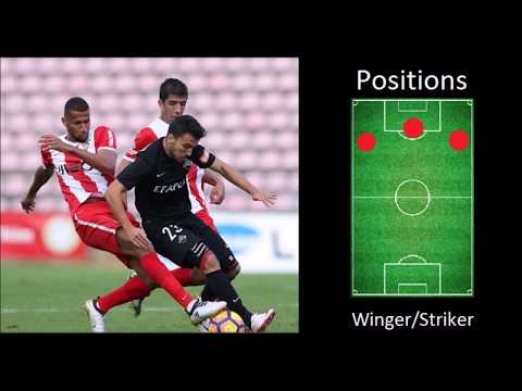 Dany Marques - Striker/Winger - 2017 - Académica