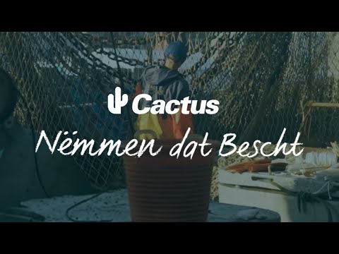 Cactus - Nëmmen Dat Beseht - Ep4 Nohaltegkeet an der Feschproduktioun
