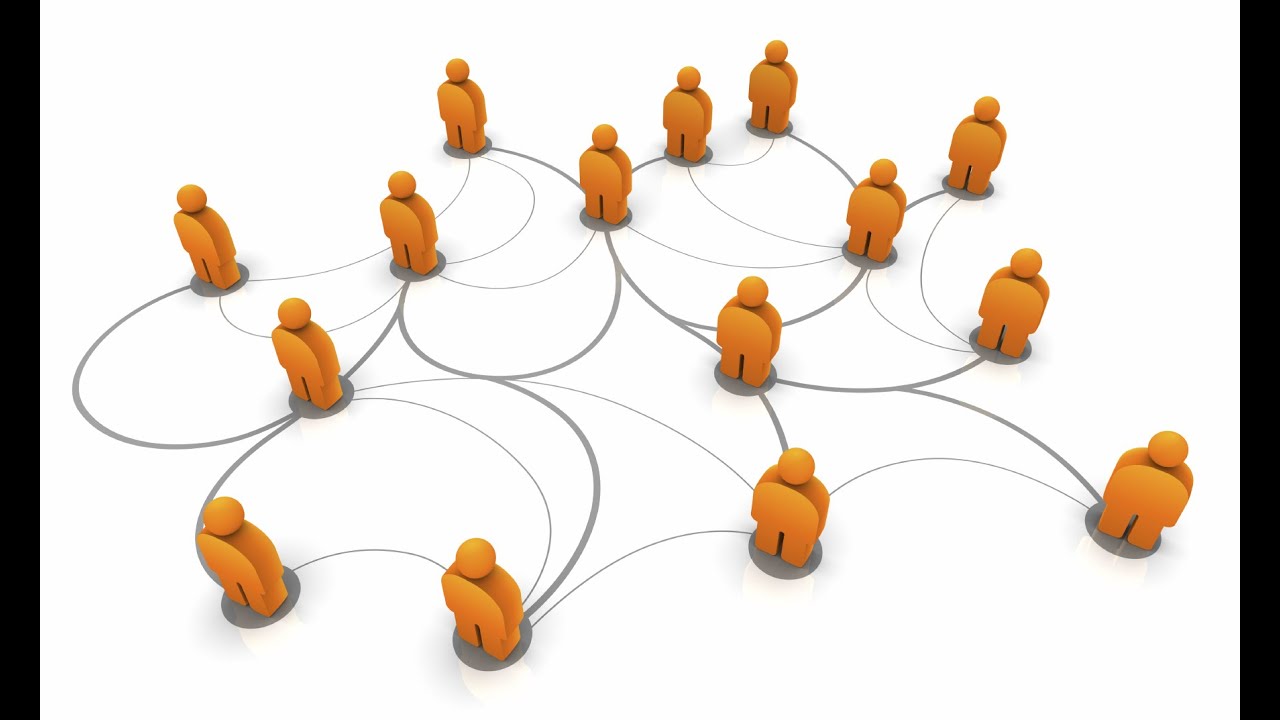 What is the Social Network Effect? | World Science Festival