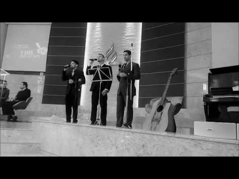 Volto ao Lar -Semente Viva