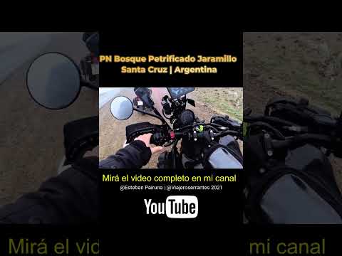 Travesía en Moto a Jaramillo Bosque Petrificado ❄️¡A 4°C Y CON NEBLINA EXTREMA!