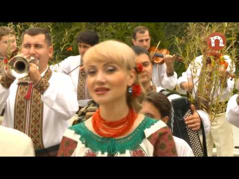 Adriana Ochişanu   Mustaţa socrului meu