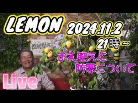 レモンの木の最も一般的な病気の概要は何ですか