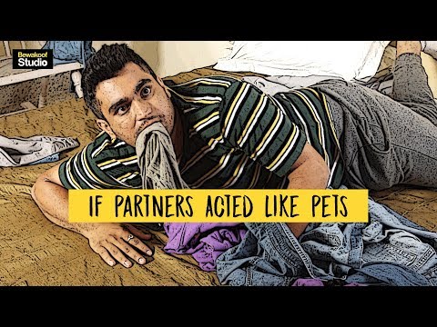 If Partners Acted like Pets