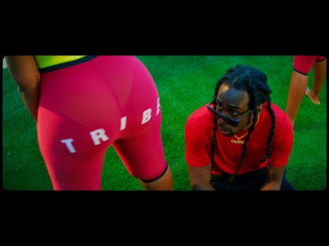 Tigo B - Too Dumb [Official Music Video]