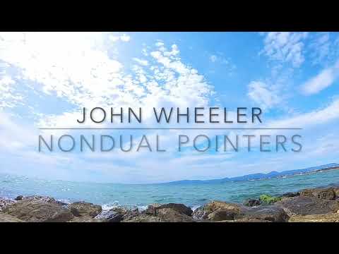 John Wheeler. How to understand all this Non-duality.