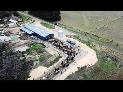 Crocksville Dairy: Western Victoria – Daviesway