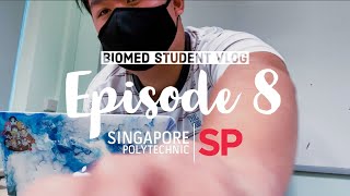 A Day in the life of A Polytechnic Student *Presentations + Projects*