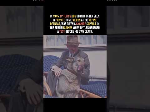 What Happened to Hitler’s Dog?