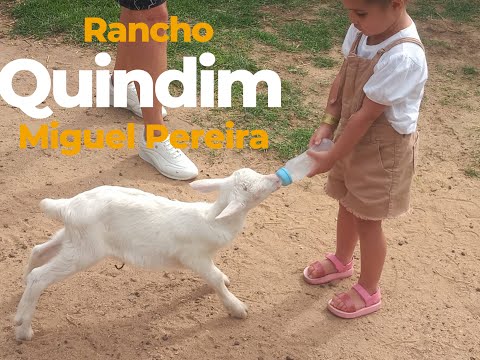 Rancho Quindins e Miguel Pereira