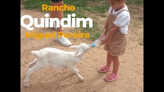 Rancho Quindins e Miguel Pereira