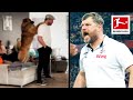 How a Dog Keeps a Coach Calm at Home • Steffen Baumgart