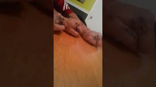 Mange d&#39;la marde de L&#39;un2trois