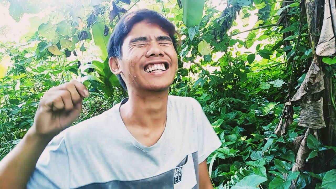 Ibat Ibang uri ng dahon