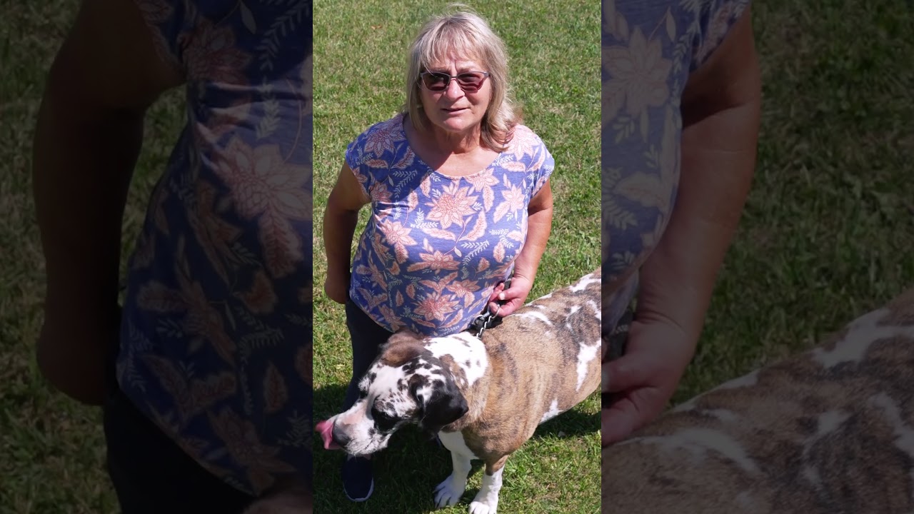 Next Exteriors craftsmanship video