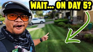 The FASTEST on YouTube! 😮 Overseeding Process is Dialed in!