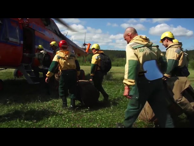 Берегите лес!