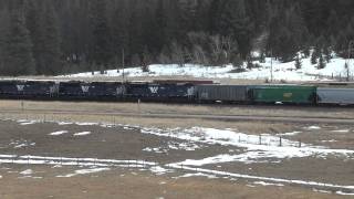 preview picture of video 'BNSF/NS train meets BNSF/MRL/NS train at Austin, Mullan Pass'