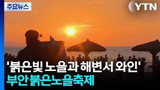 '붉은빛 노을과 해변서 와인'...부안 붉은노을축제 열려 / YTN