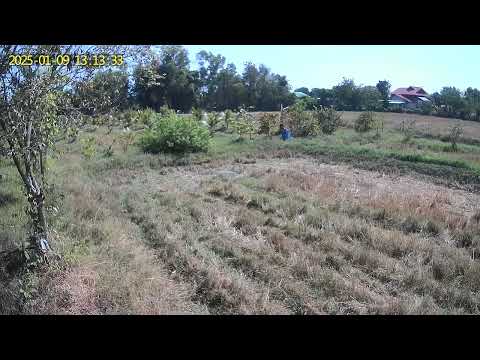 UBox 2025 01 09 130412 3 107