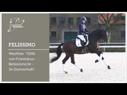 Felissimo 21 01 2022 Traingseindrücke