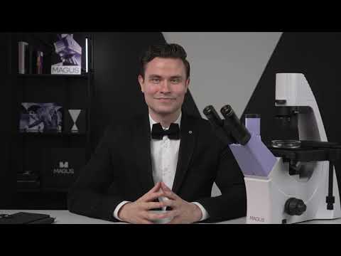 Микроскоп биологический инвертированный цифровой MAGUS Bio VD300