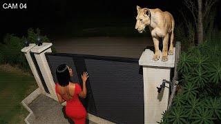 Moments Filmed Second Before Disaster!