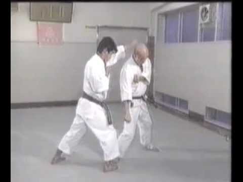 Wado ryu kihon kumite 8
