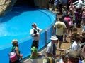 Clyde And Seymore Show Sea World Clown Antics Pre Show