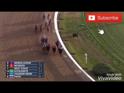 Breeders Cup Classic 2018 video footage