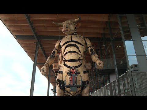 French minotaur stalks streets of Toulouse • FRANCE 24 English