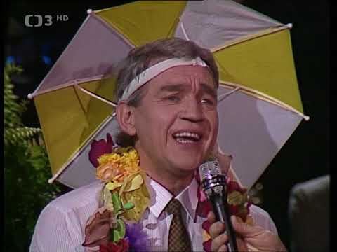 Zajíc v pytli - Reportáž z maškarního plesu n. p. Špuntana (1989)