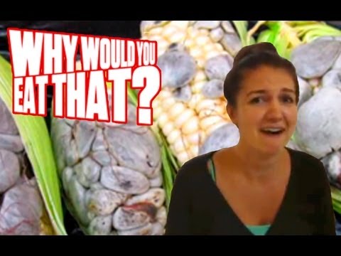 Huitlacoche aka Corn Fungus - Why Would You Eat That?