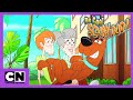 Fii Calm Scooby Doo În Vizită La Bunica Cartoon Network