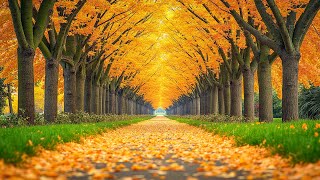 Beautiful Relaxing Music 🍁 Soothing Autumn Music For Stress Relief, Deep Relaxation, Calm Nervous