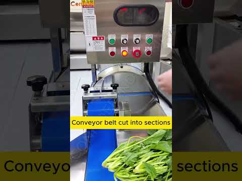 Vegetable Cutting Machine