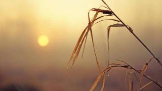 Federico Aubele - Despertar